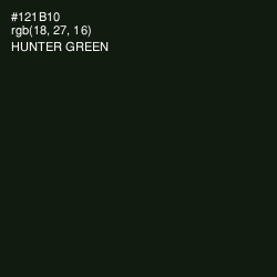#121B10 - Hunter Green Color Image